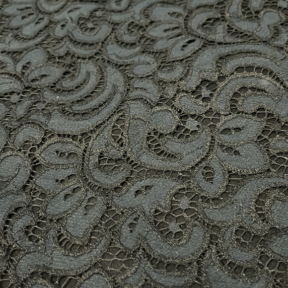 Black lace skirt from Loft. - Picture 2 of 4